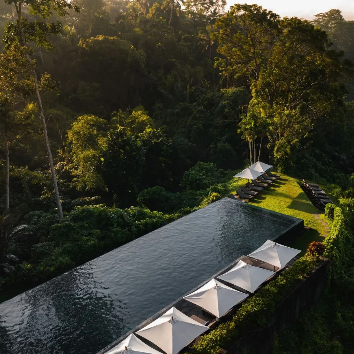 Black Lava Stone - Image 9