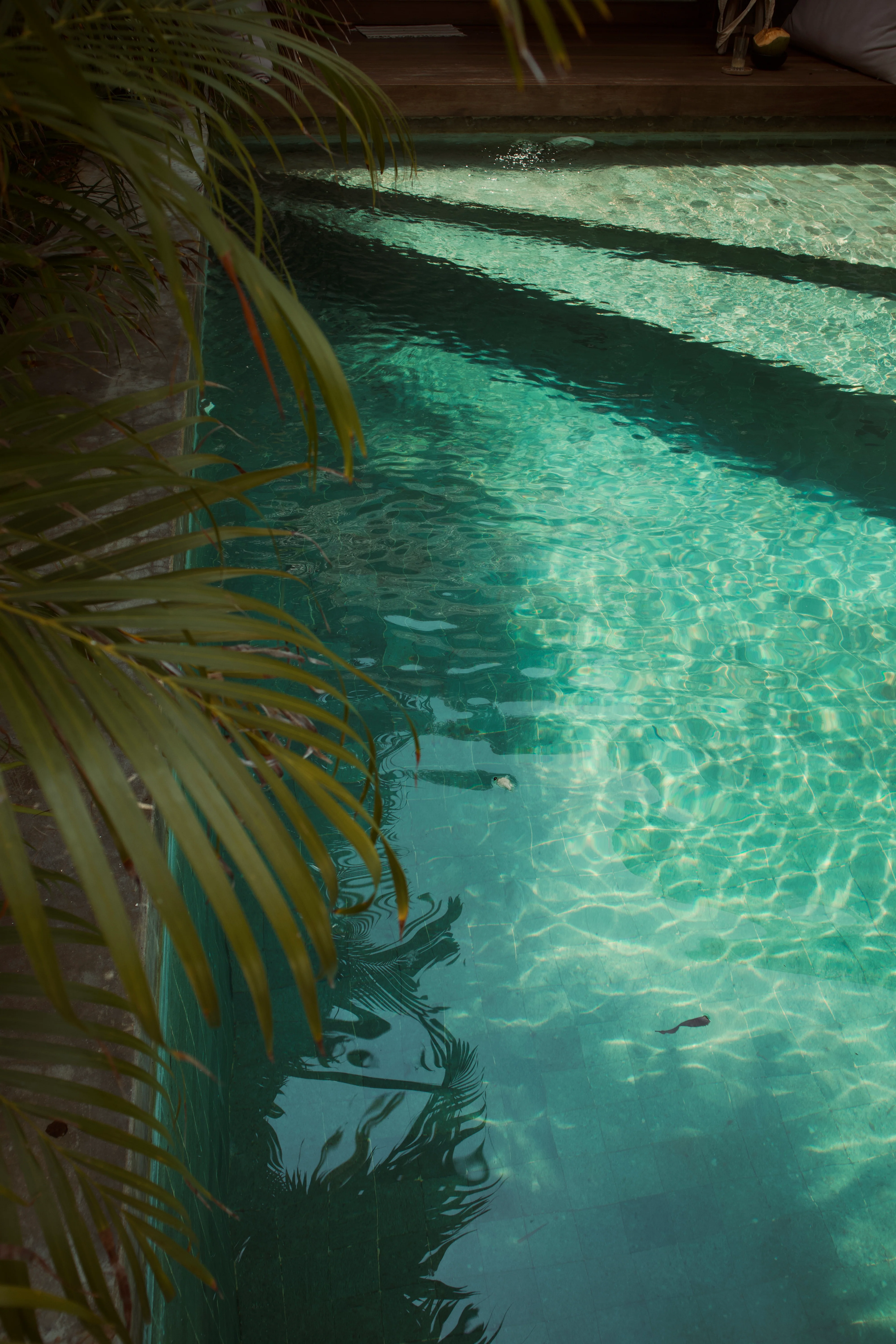 Green Sukabumi Stone - Image 4